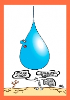 XXI Muestra Internacional del Humor sobre el Agua