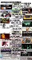 AGENDA MUSICAL FIN DE SEMANA 13 AL 16 DE NOVIEMBRE