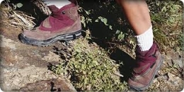 Senderismo en La Gran Cañada - Cordel de la Pedriza