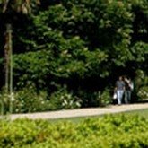 Paseos del mes, dedicado a las orquídeas