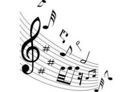 Concierto de pulso y púa