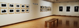 Exposición Alcalá Visual