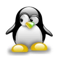 Qui y Jote en la isla de los piratas