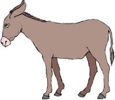 Platero y yo