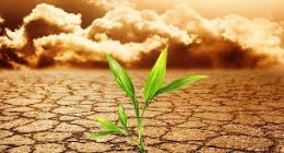 Conferencia "Cambio climático. Posibles soluciones"