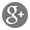 Google+